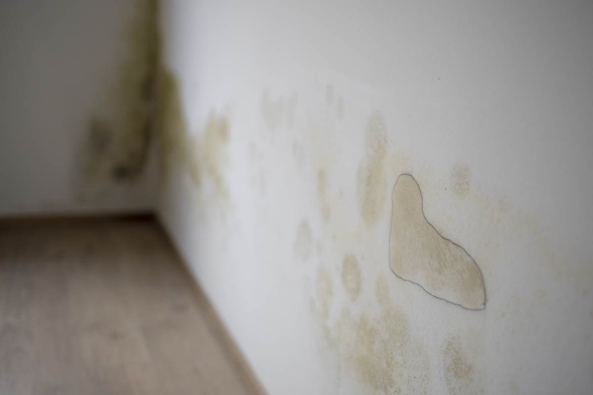 Informes periciales en vicios ocultos de vivienda