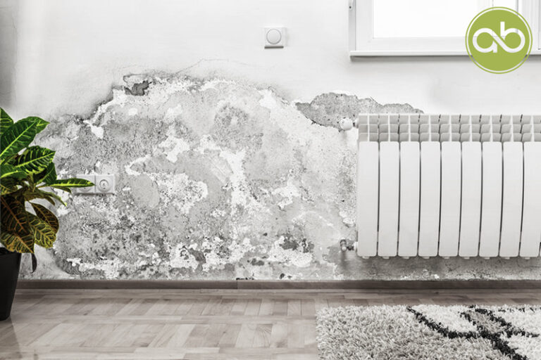 Perito arquitecto Aguirre & Baeza